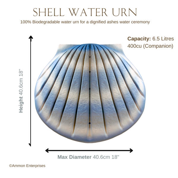 Companion Urn - The Shell Water Urn for two people's ashes - dimensions